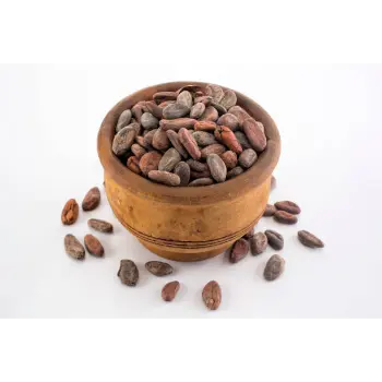 Organic  Tamarind Seeds
